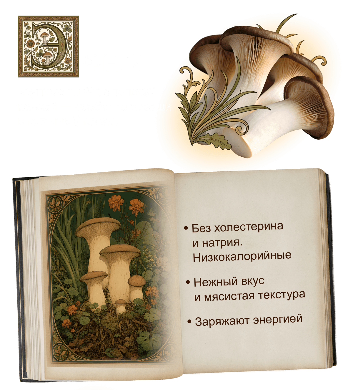 Эринги! Крупные грибы с&nbsp;толстой ножкой&nbsp;— особенно хороши в&nbsp;горячих блюдах.