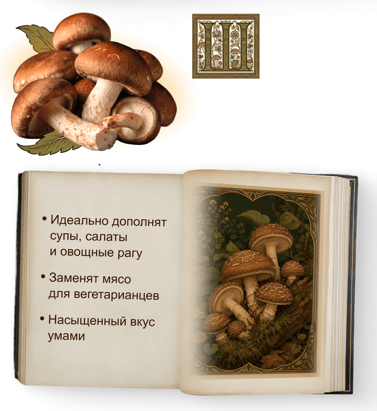 Шиитаке! Второй по&nbsp;популярности культивируемый гриб в&nbsp;мире после&nbsp;шампиньонов.