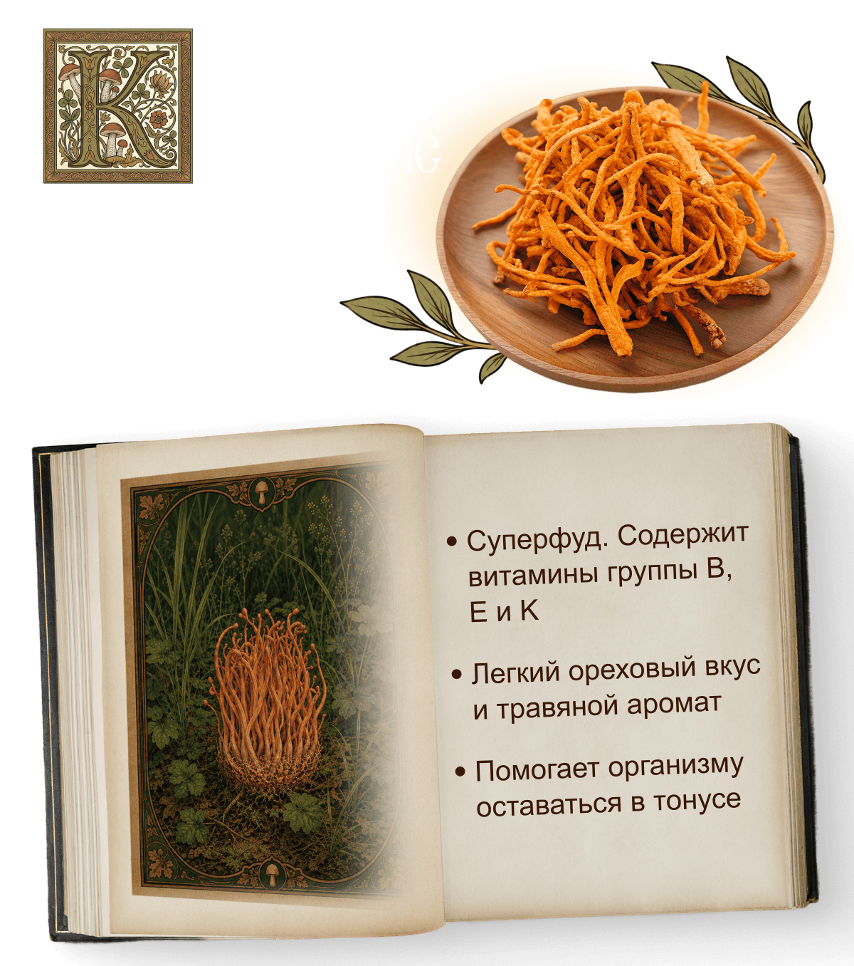 Кордицепс! Редкий гриб, который выращивают в&nbsp;Китае и&nbsp;Тибете более тысячи&nbsp;лет.