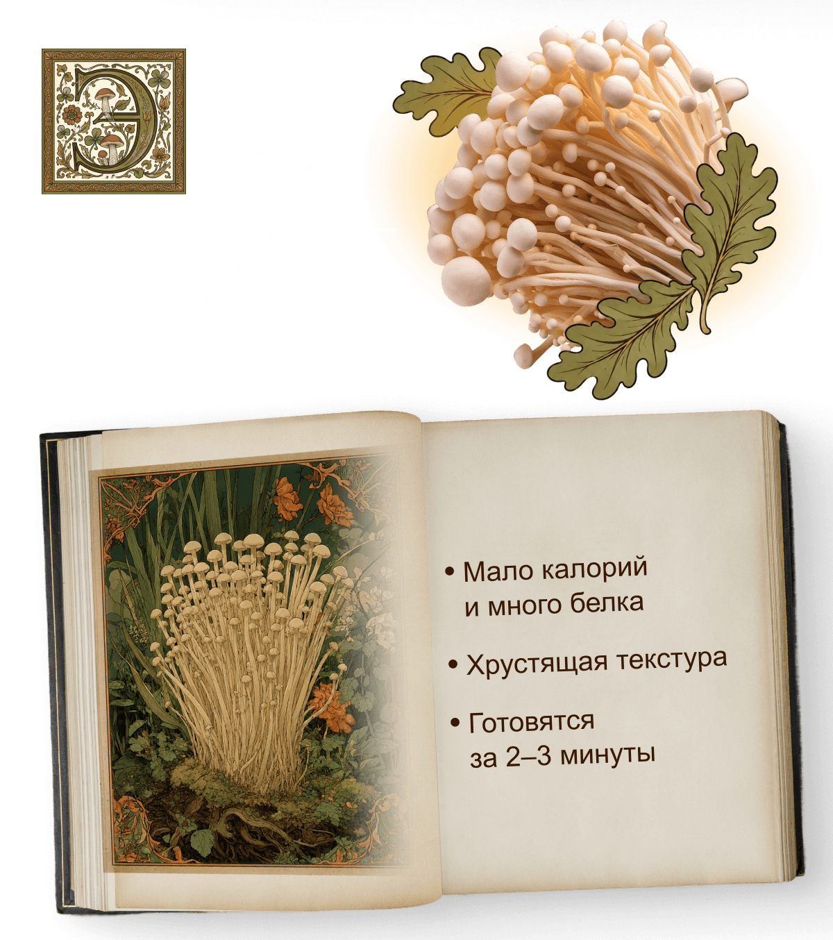 Эноки! Тонкие и&nbsp;длинные грибы&nbsp;— их&nbsp;добавляют в&nbsp;рамен и&nbsp;горячие закуски.