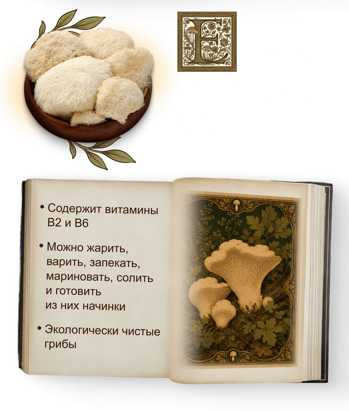 Ежовик! Гриб с&nbsp;необычной пушистой текстурой, его&nbsp;вкус часто сравнивают с&nbsp;морепродуктами.