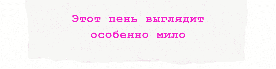 Этот пень выглядит особенно мило